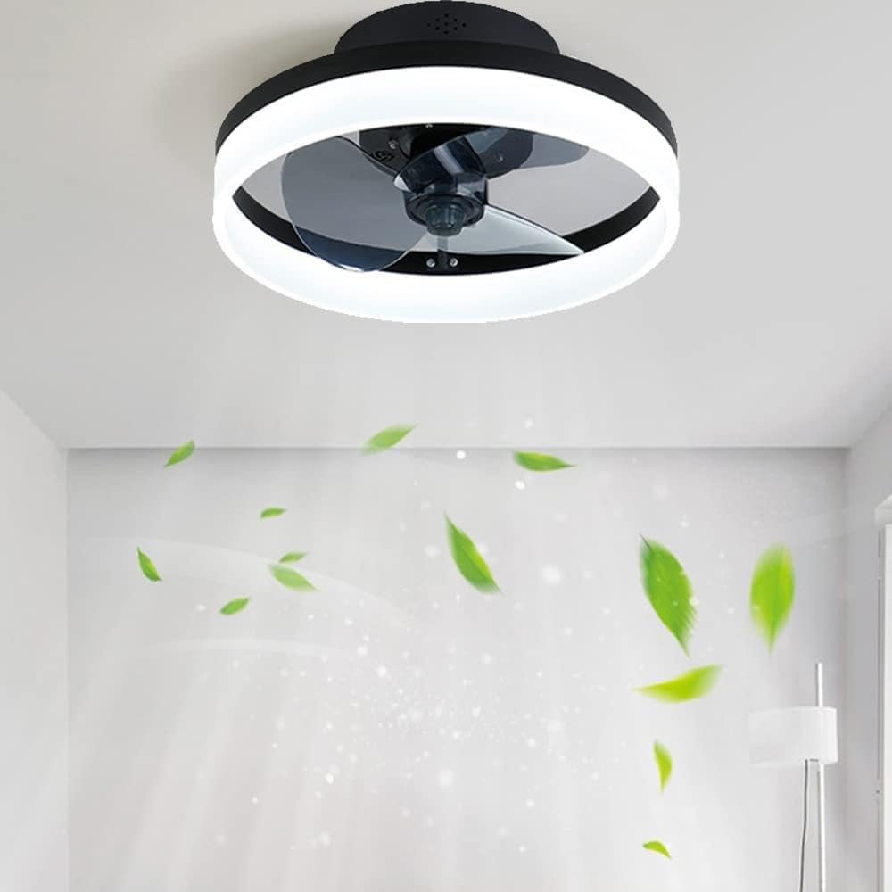 Low Profile Ceiling Fan with Light